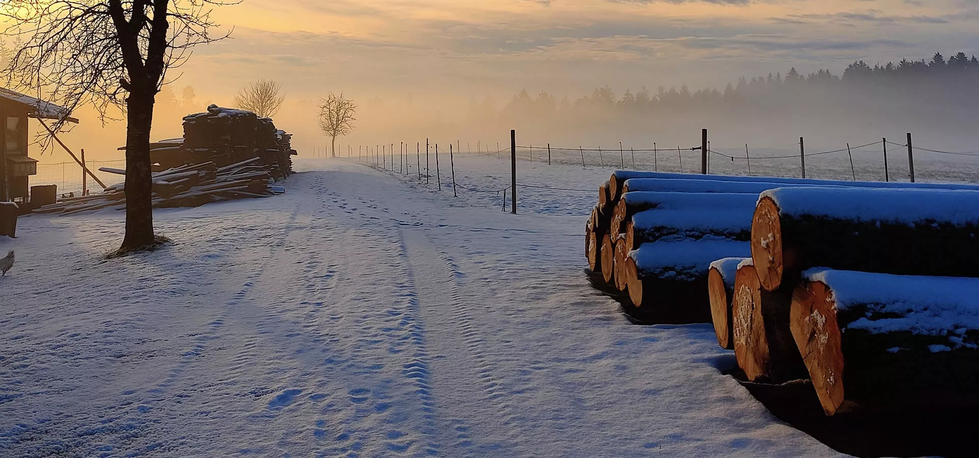 Winter im Bayerischen Wald